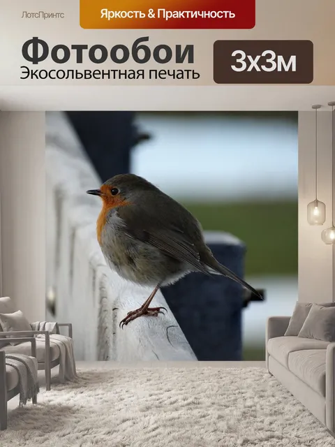 Фотообои Птицы