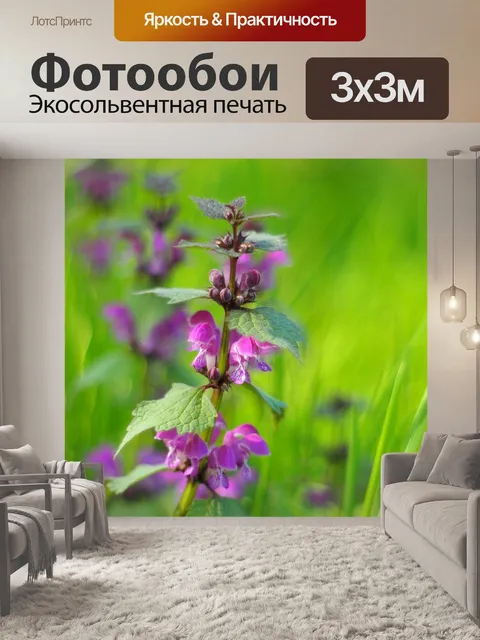Фотообои Природа