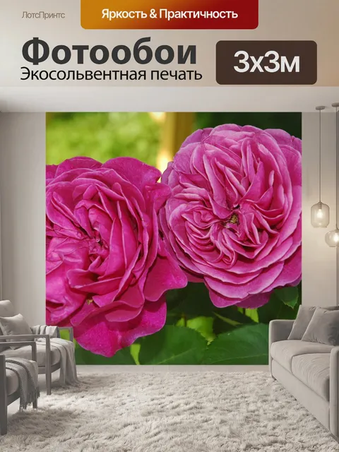 Фотообои Роза