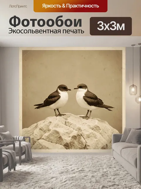 Фотообои Две морские птицы на скале