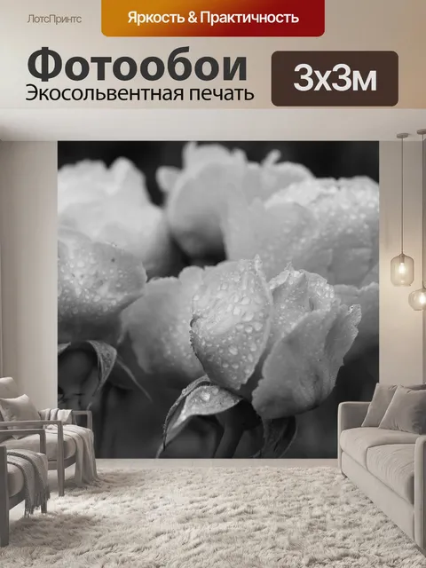 Фотообои Розы