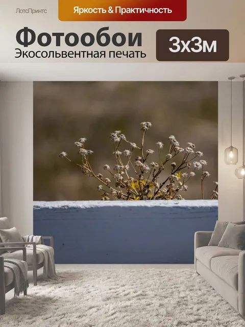 Фотообои Гречиха