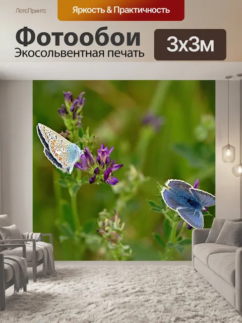 Фотообои Бабочки