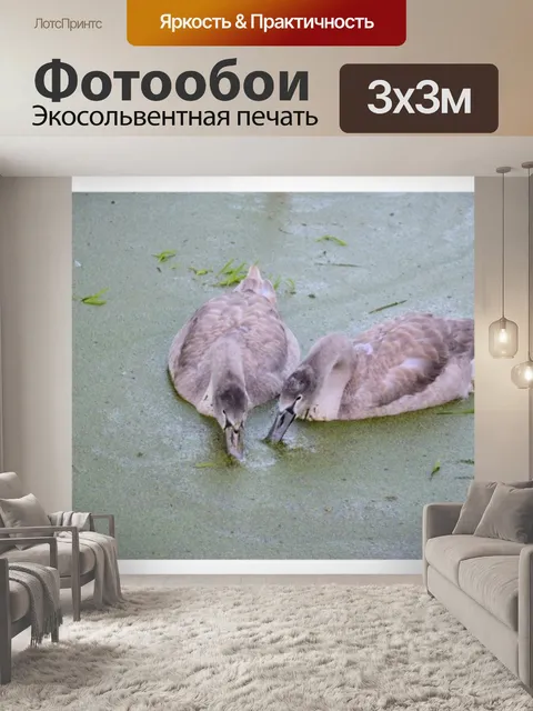 Фотообои Лебедь коллаж