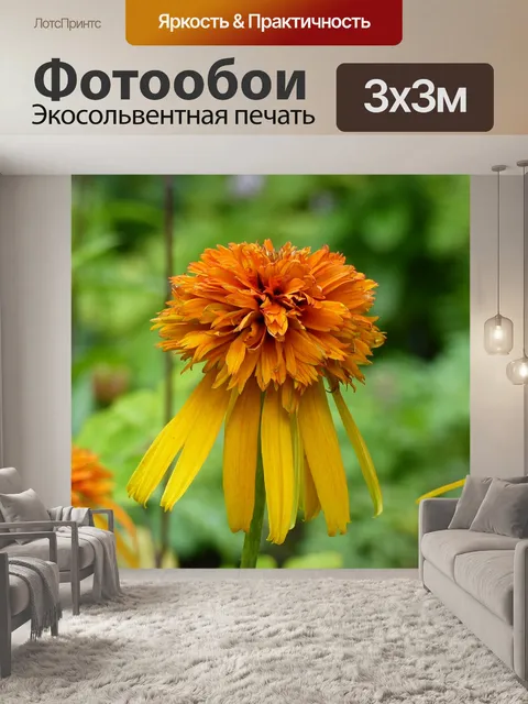 Фотообои Цветы