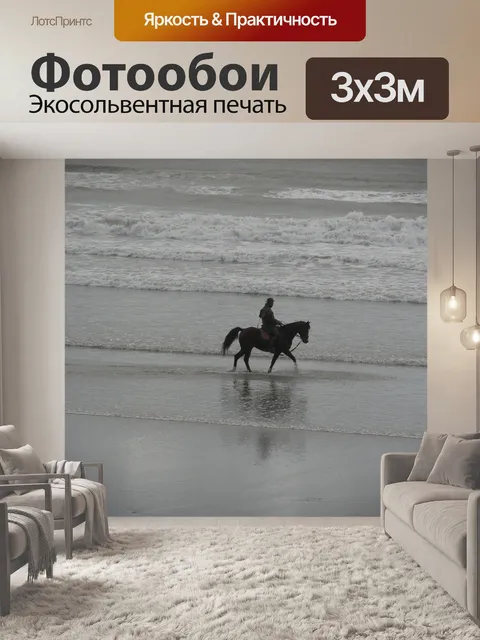 Фотообои Езда на лошади