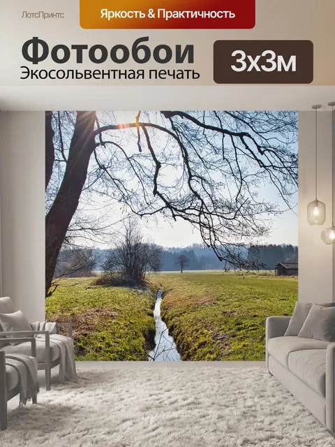 Фотообои Деревья