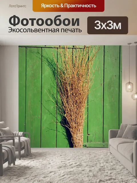 Фотообои Ведьмы метла винтаж фото