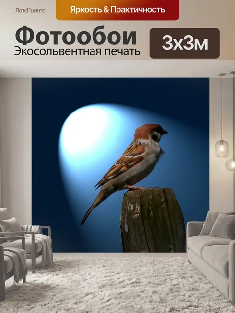 Фотообои Птица