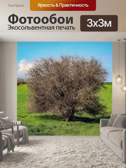 Фотообои Дерево