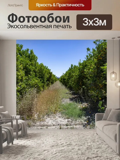 Фотообои Лимонная роща