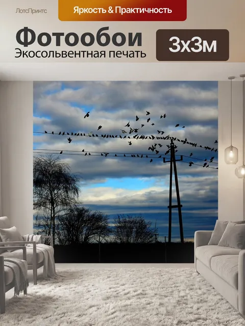 Фотообои Птицы
