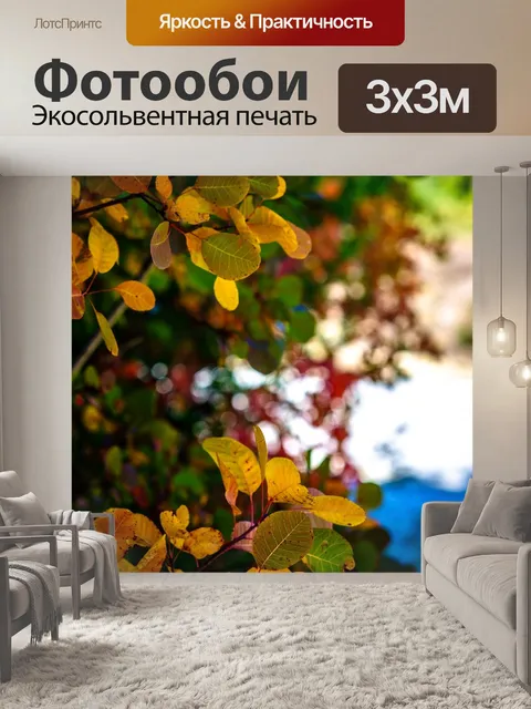 Фотообои Осень