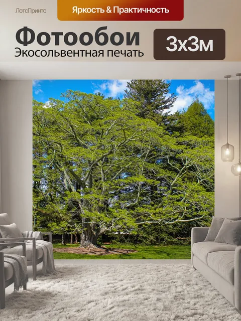 Фотообои Дерево