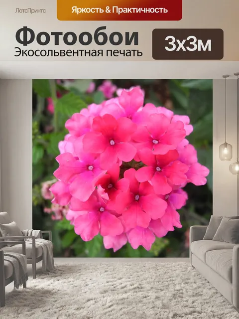 Фотообои Цветы