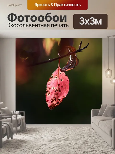 Фотообои Лист