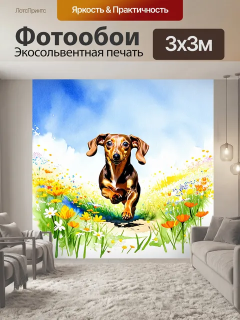 Фотообои изображение таксы, пробегающей поле с яркими дикими цветами, на фоне голубого неба