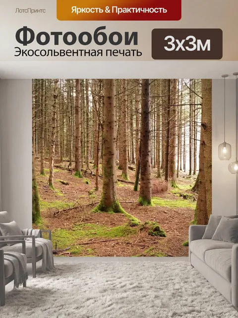 Фотообои Лес