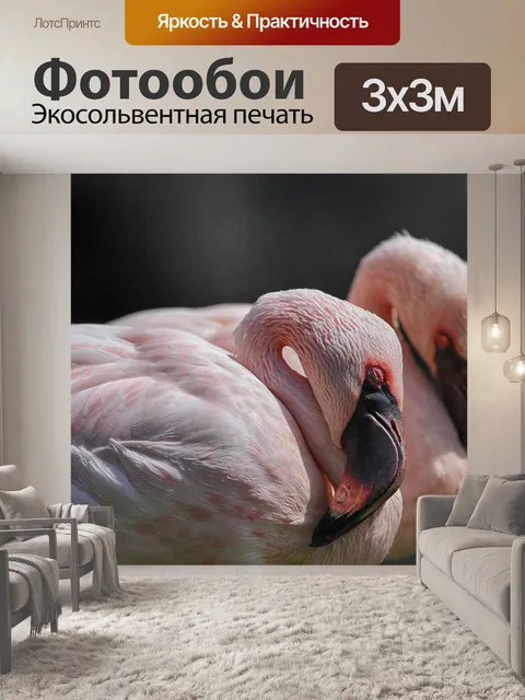 Фотообои Фламинго