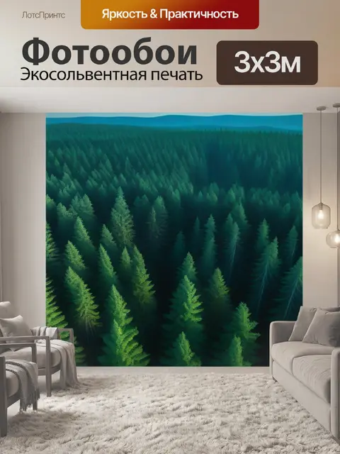 Фотообои рассвет над спокойным лесом