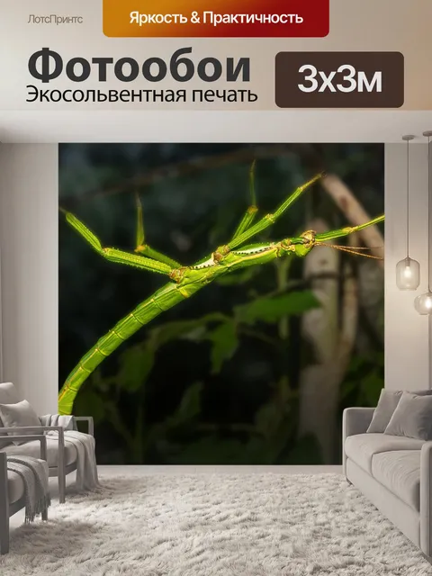 Фотообои Дерево