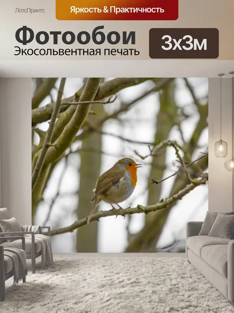 Фотообои Робин Эритакус рубекула