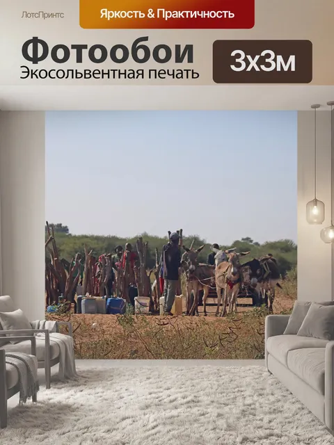 Фотообои местные жители и ослиная тележка получаю