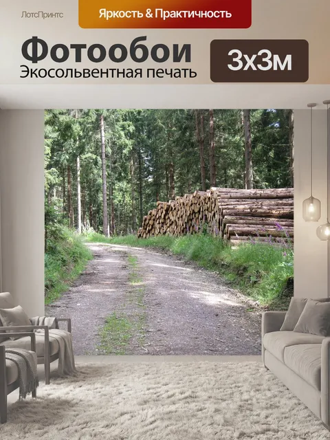 Фотообои Лес
