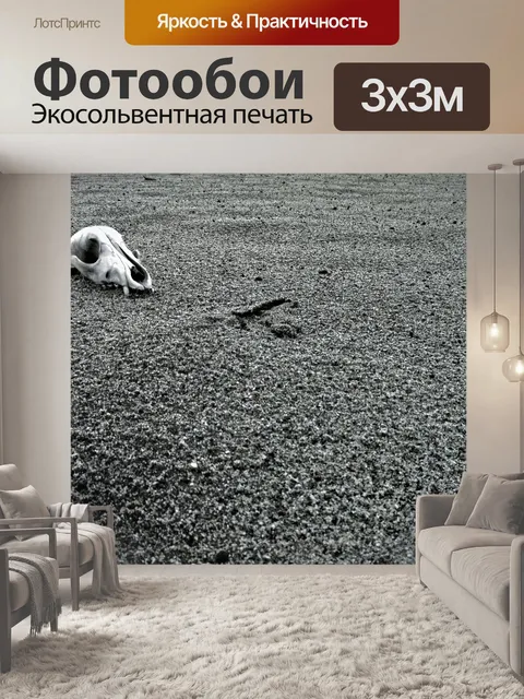 Фотообои Череп и скрещенные кости