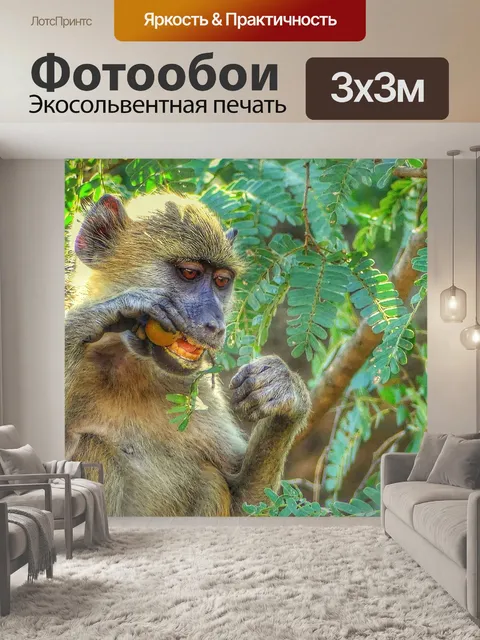 Фотообои Обезьяна