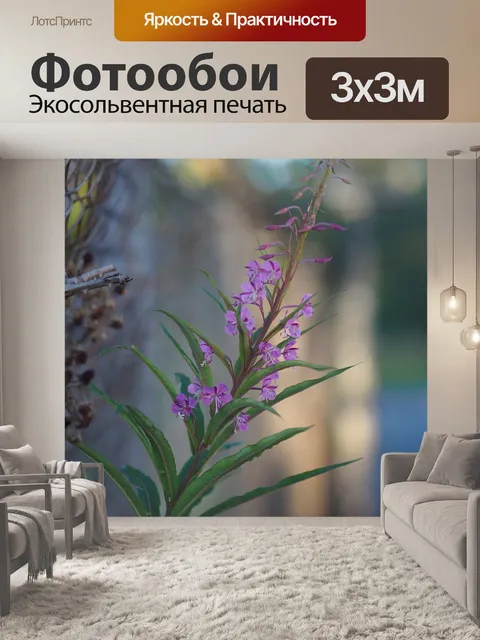 Фотообои Цветок
