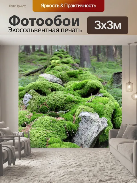 Фотообои Чехия
