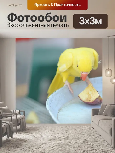 Фотообои Птица