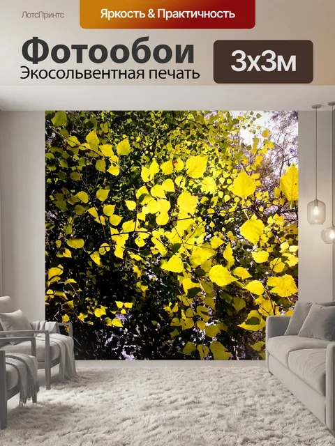 Фотообои Листья
