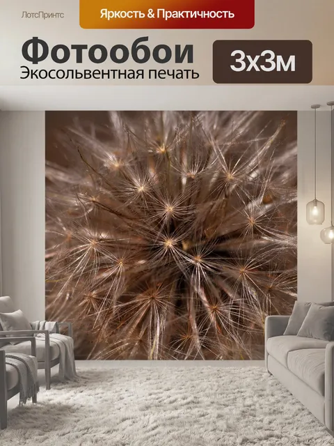 Фотообои Одуванчик