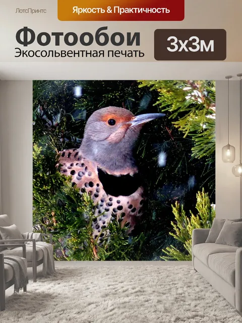 Фотообои Животное