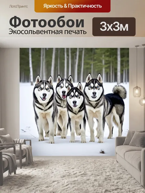 Фотообои группа хаски, играющих на зимней поляне