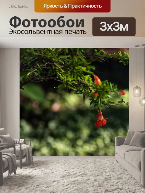 Фотообои Цветок