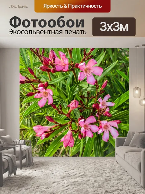 Фотообои Цветы