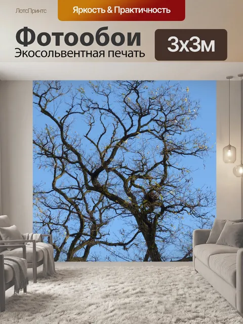 Фотообои Дерево
