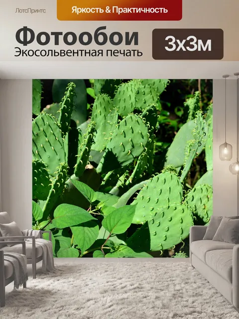Фотообои Кактус
