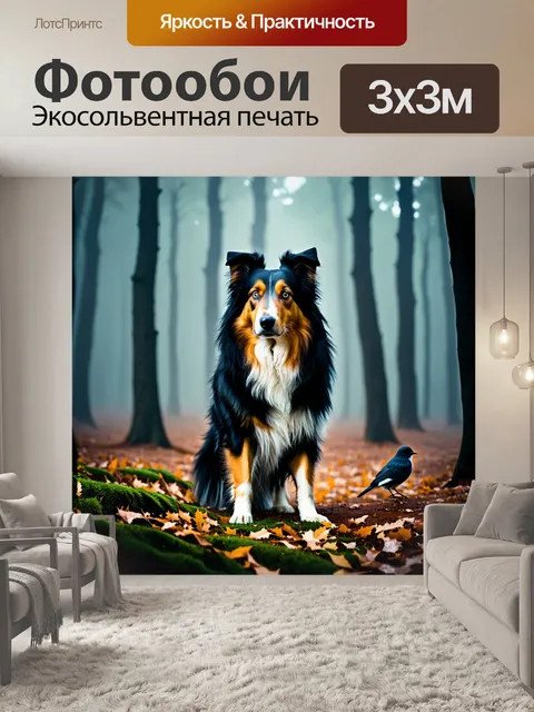 Фотообои в загадочном лесу с туманом