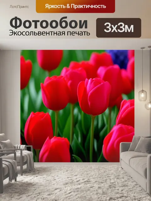 Фотообои тюльпаны и романтика