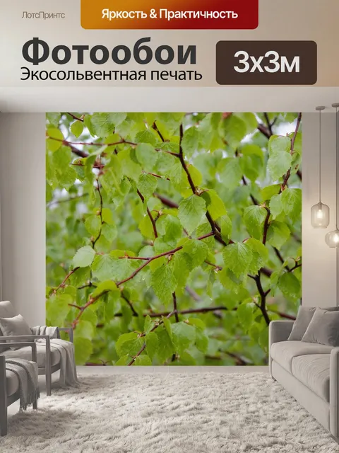 Фотообои Листья