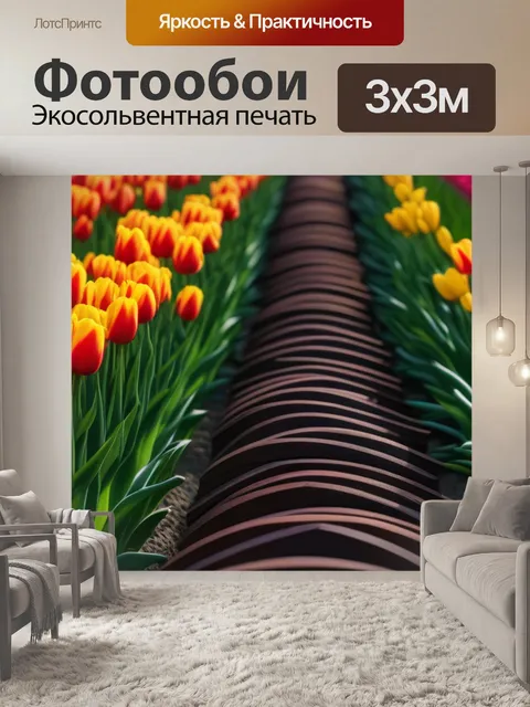 Фотообои тюльпаны и линии