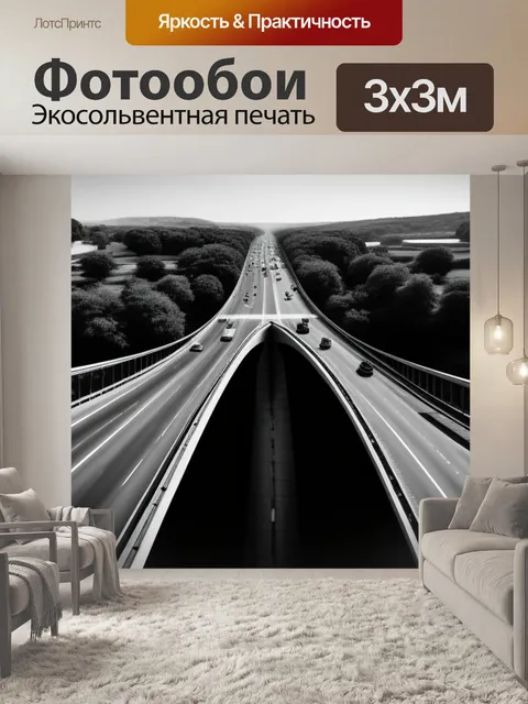 Фотообои пейзаж с моста чернобелый