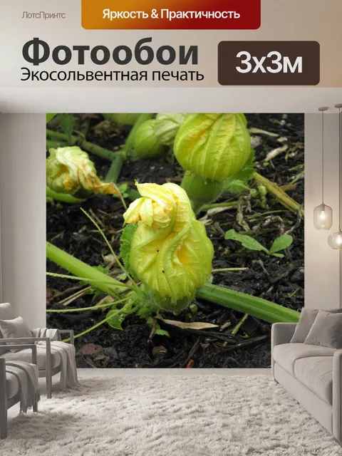 Фотообои Лист