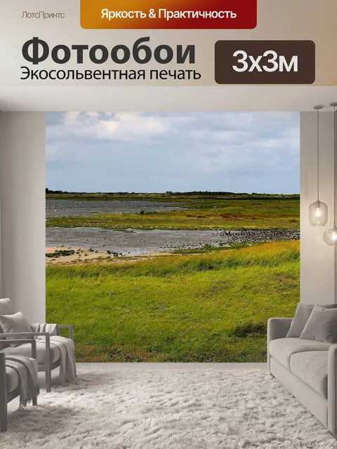 Фотообои Морские птицы