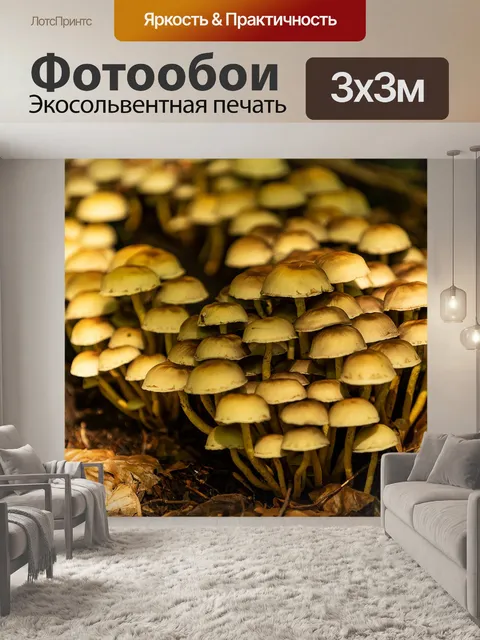 Фотообои Лес