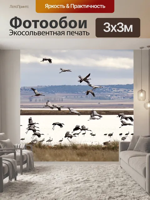 Фотообои Природа